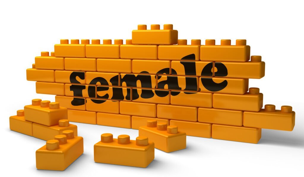A 3d image of a brick wall with the word female on it.